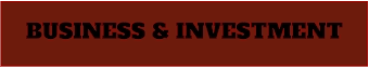 BUSINESS & INVESTMENT