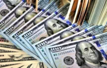 Grow Wealth